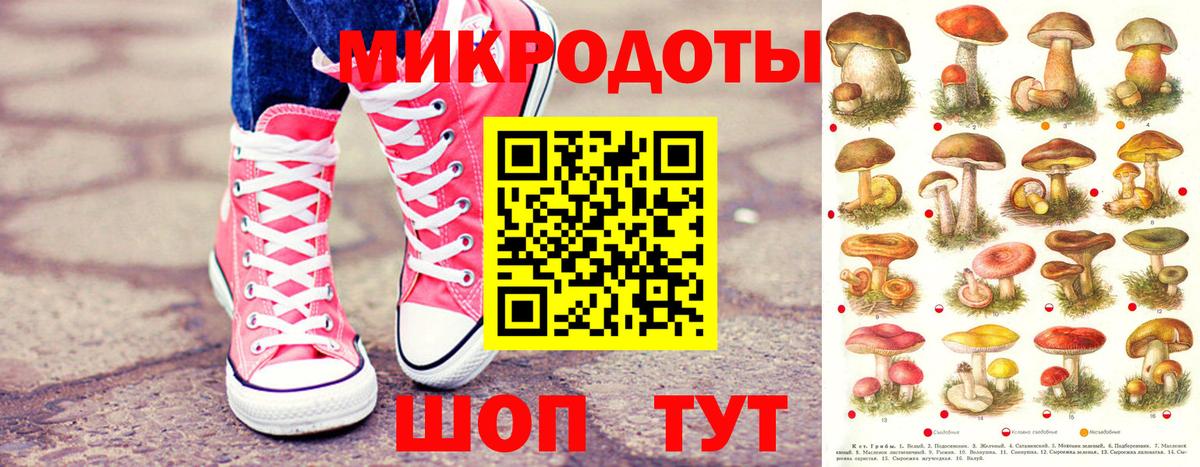 Галлюциногенные грибы Psilocybe Алушта