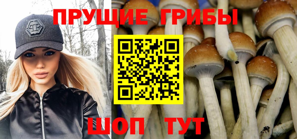 Галлюциногенные грибы GOLDEN TEACHER  где купить   Алушта  Вход с VPN 